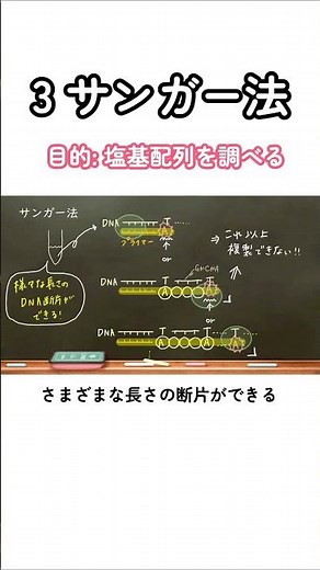 忘れてるところはおうち生物の動画で復習してな！ひとつずつ完璧にしてこ👌#共通テスト #高校生物