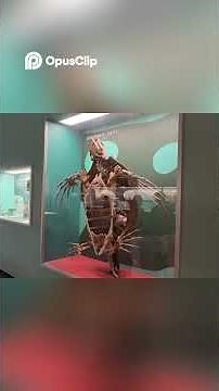 From Gems to Mummies The Smithsonian Has it ALL!