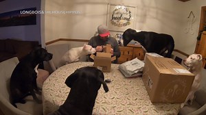 Join us for a little Christmas Eve Unboxing, but don't forget to bring the Kleenex! 😪❤️🎄🐾 | Dogs and Other Unsolicited Advice - L O N G bois and the House Hippos