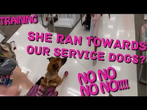 Girl Runs Up On Service Dogs? +Training