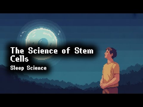 Stem Cells Explained | Documentary for Sleep