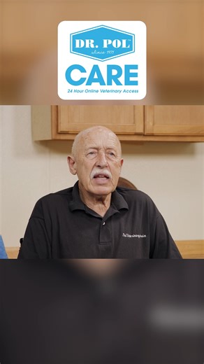 Local vets are busy, and sometimes your pets can’t wait. With Dr. Pol CARE, licensed veterinarians are available 24/7 for advice, step-by-step vet guidance, and peace of mind: https://bit.ly/4nvspx0 All for just $8.95/month! 🩺 #DrPolCARE | Dr. Pol