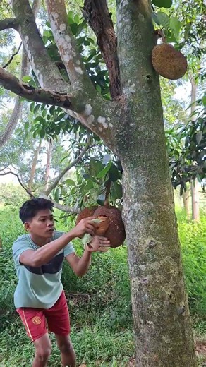 catch using a leaf base #shortvideos #nature #trending