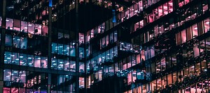 Dog Training College