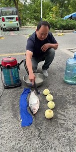 Yangzi Vacuum Cleaner Wet & Dry Blowing Dual-Use Vacuum Cleaner.