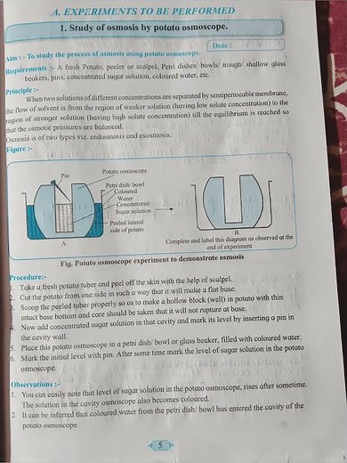 HSC Biology Practical 1: Study of osmosis by potato osmoscope | Maharashtra Board