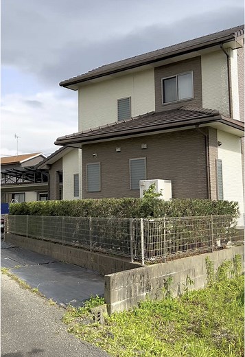 専門家による樹木剪定サービスのご提案