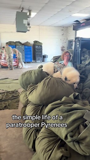 Life as a Paratrooper at Fort Benning, Georgia
