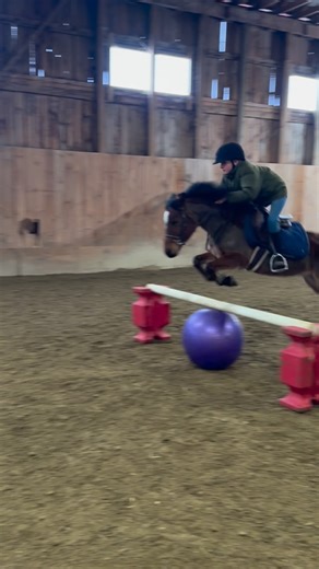 @mudgeboys | We have never been the kids with the fancy ponies. Willy came from the kill pen, and we discovered he had a nail through his hoof almost... | Instagram