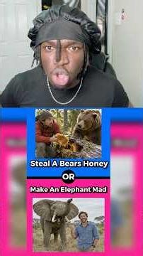 Elephants Remember Everything😬 #shorts