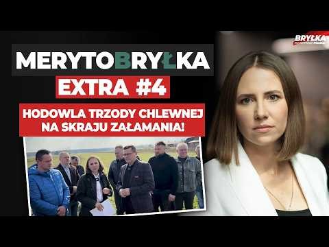 PIG FARMING ON THE VERGE OF COLLAPSE! | MERYTOBRYŁKA EXTRA #4