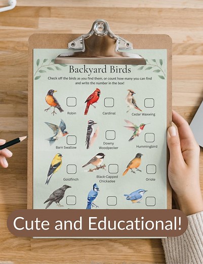 Bird Scavenger Hunt for Kids, Backyard Nature Activity Checklist (printable PDF) - Etsy
