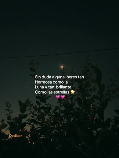 A Beautiful Dedication under the Moon and Stars