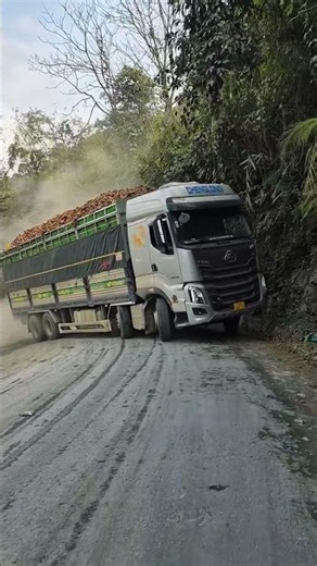 Would You Drive This Logging Truck Road? #shorts