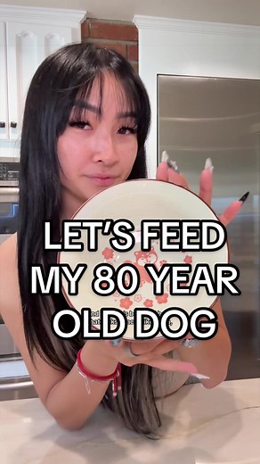 Feeding My 80-Year-Old Akita: Gentle Homemade Dog Meal