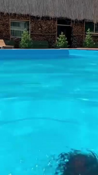 Water Balloon Fun at the Pool: Exciting Splash Moments