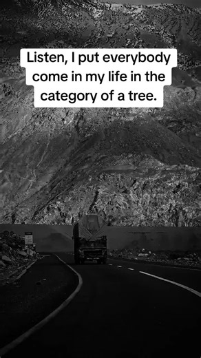 Life Lessons from Trees: Inspirational Speech