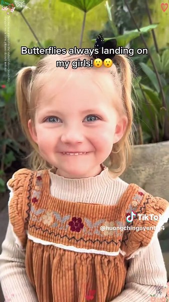 Butterflies: Messages of Love and Hope