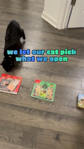 Cat Packs! #pokemon #packopening #cat