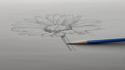 How to Draw a Flower - Easy Drawing Tutorial for Beginners