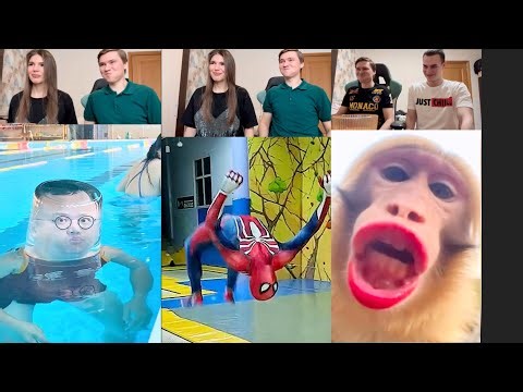 THE BEST FUNNY VIDEOS 🤣 TRY NOT TO LAUGH COMPILATION #22 🍓😂
