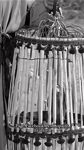 Ali Baba et les Quarante Voleurs (film, 1954) film de Jacques Becker, sorti en 1954 Acteurs principaux Fernandel Samia Gamal Dieter Borsche Henri Vilbert Édouard Delmont #viralreelsシ #pourtoiii #cinemacult #comediens #cine #cine #CinemaFrancais #cinema #FernandContandin | Les Copains D’abord