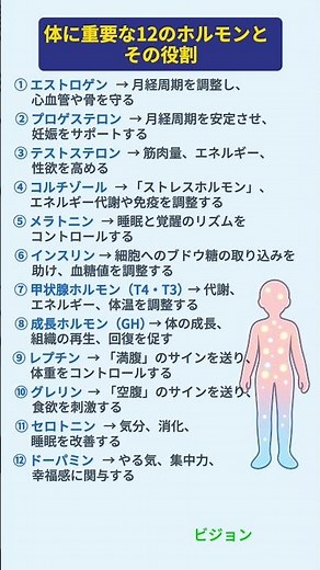 体に重要な12のホルモンとその役割