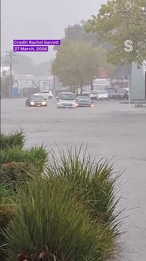 ‘She’s pretty deep’: Cars seen braving flooded Tauranga street | Stuff.co.nz