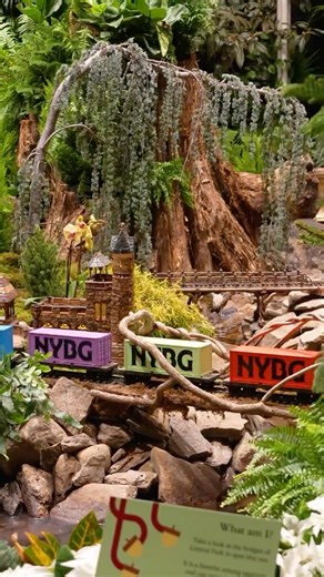 Come toast the season with us this weekend! Holiday Train Nights are THE all-in-one holiday experience for your seasonal bucket list. 🎄🥂🎁 This Friday, Saturday, and Sunday, as the sun sets at the Garden, twinkling lights fill the Holiday Train Show with starlit magic during Holiday Train Nights. Get your family and friends out of the house to bop along with holiday classics and Christmas pop favorites sung by live performers, enjoy sweet and savory bites as well as cocktails and mocktails for