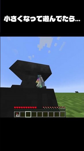 マイクラで小さくなるMOD使ってたら... #マイクラ #minecraft #java#mod