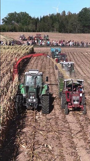 🌽🚜 1- & 2-REIHER IM EINSATZ! | Historisches Maishäckseln 🔥