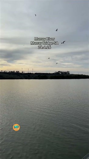 Murray River - Murray Bridge - SA 24.4.26