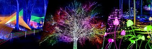 Lightscape
