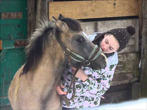 La plus belle histoire d'amour entre un cheval et une fille - rivers flows in you