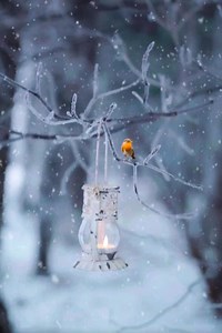 41K views · 2.6K reactions | Hello February❄️ | Kelevina | Facebook