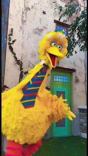 Big Bird Dancing Sesame Street Land SeaWorld Orlando Theme Park #bigbird #sesamestreet #seaworld