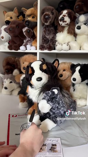 Douglas Plushies For Pre-Order in Australia, UK, Europe