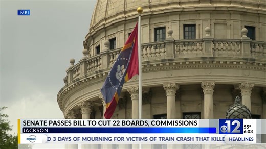 Mississippi Senate passes bill to cut 22 boards, commissions