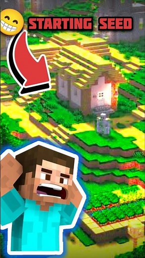 2 Minecraft Seeds PERFECT for Survival 😱🌍