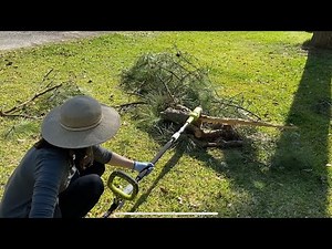 RYOBI electric Pole Saw from Home Depot. User review!