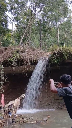 ketepel burung di atas air #shortvideo #nature