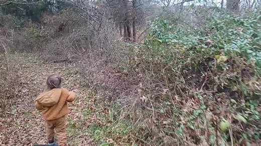 2.1K views · 104 reactions | Hiking Mill Pond Trail in Long Valley NJ | Metrotrails | Facebook