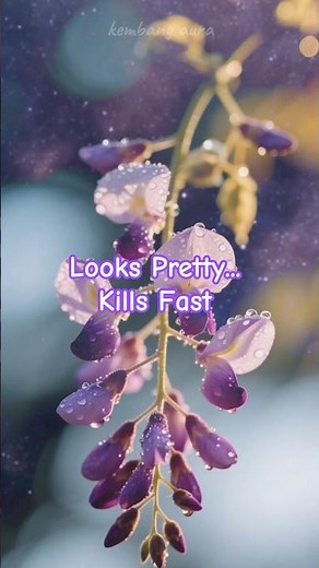 Wolfsbane: The Deadliest Flower in Your Garden? #shorts #wolfsbane #flowerfacts