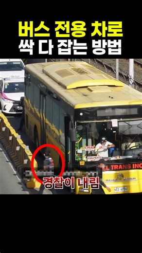 버스 전용 차로 싹 다 잡는 방법