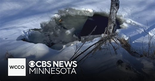 Minnesota snowshoer survives falling through the ice
