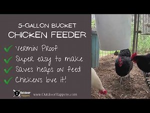 Our 5 Gallon Bucket Chicken Feeder!