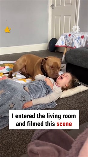 33K views · 871 reactions | They can't live without each other 梁 | WTVideo | Facebook