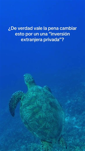 Vale realmente la pena un “Perfect Day” o una vida perfecta para las demás especies? #perfectdaymexico #ProtegeElCaribeMexicano #mahahual #ypfッ #NoAlPerfectDay @Royal Caribbean