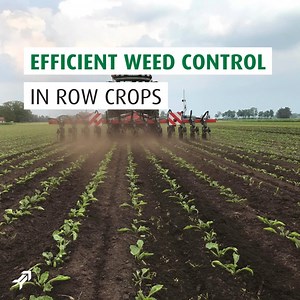 Precision is key in mechanical weed control! 🌱 Get as close as possible without crop damage. With the Kverneland Onyx, you ensure straight lines. The rigidity of the tools protects the plants and rules out any wear and play. | Kverneland