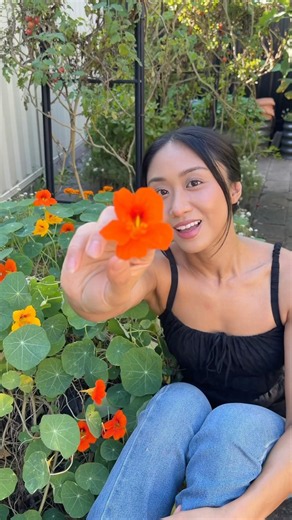 The edible flower everyone should be growing!!! 🌼 #gardeningtips #homegarden #homegrown
